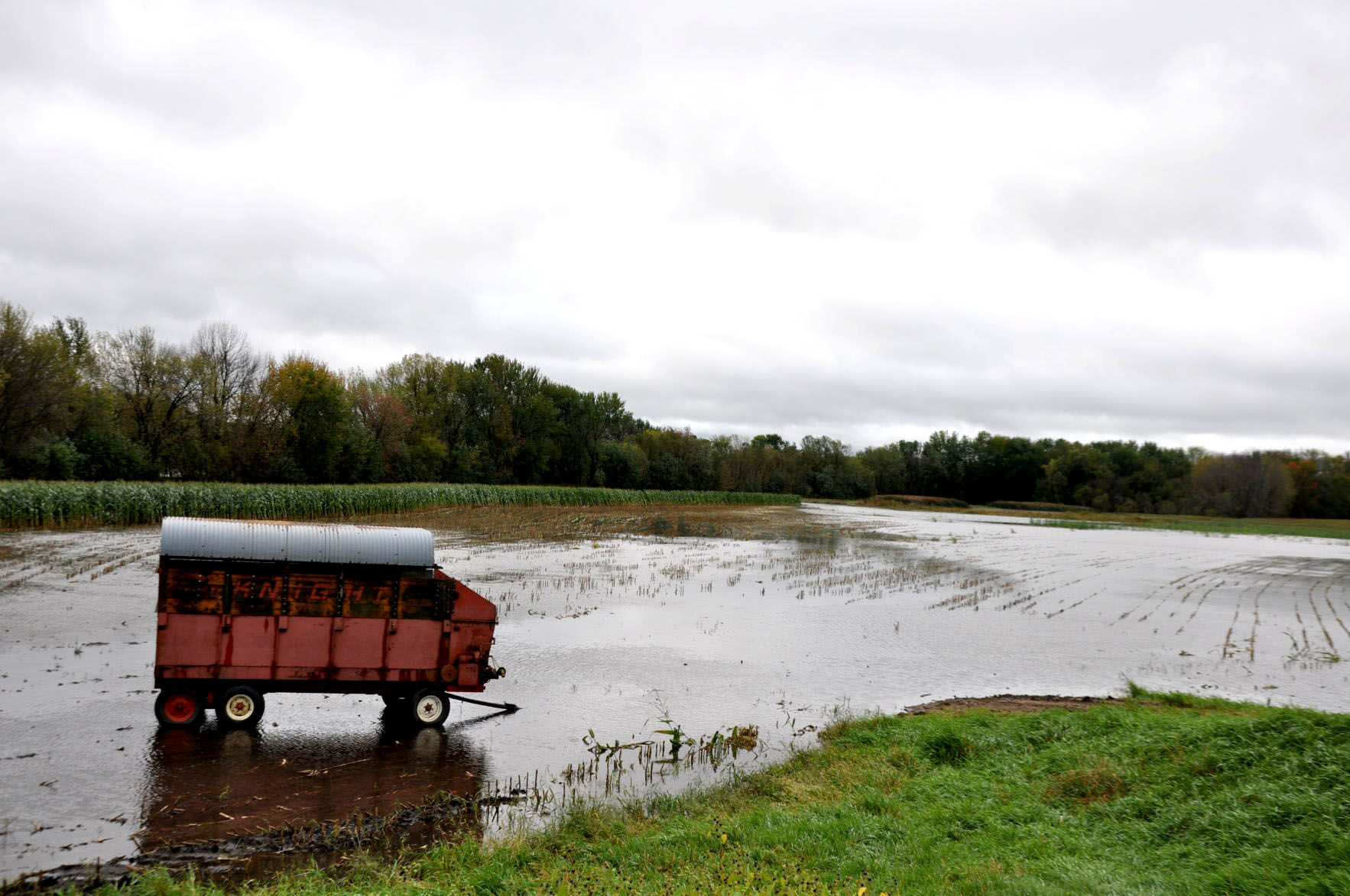 Rising Waters